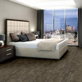 WONDER-54756-EMBRACE-STRENGT-00705-room-image