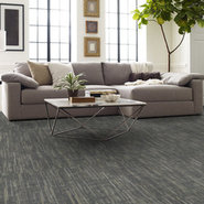 ENLIGHTEN-54757-EMBRACE-POWER-00500-room-image