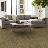 ENLIGHTEN-54757-EMBRACE-PURPOSE-00700-room-image