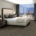 ENLIGHTEN-54757-EMBRACE-STRENGT-00705-room-image