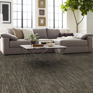 ENLIGHTEN-54757-EMBRACE-STRENGT-00705-room-image