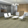 REVEAL-54758-EMBRACE-SPIRIT-00100-room-image