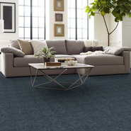 REVEAL-54758-EMBRACE-HONOR-00400-room-image