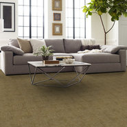 REVEAL-54758-EMBRACE-PURPOSE-00700-room-image