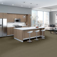 REVAMP-54762-DEVELOP-00700-room-image