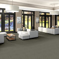 OGEE-54777-CHICKADEE-00720-room-image