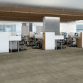 MATERIAL-EFFECTS-54781-EROSION-00106-room-image