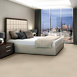 COLOR-ACCENTS-18-X-36-54786-OATMEAL-62114-room-image