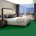 COLOR-ACCENTS-18-X-36-54786-DARK-GREEN-62375-room-image