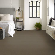 NEW-TRADE-54795-EXUBERANCE-95705-room-image