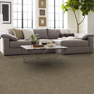 ZING-TILE-54796-PIZZAZZ-96110-room-image