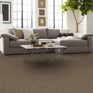 ZING-TILE-54796-BLISSFUL-96802-room-image