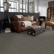 ON-TARGET-54803-ON-THE-NOSE-03510-room-image