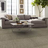 CARBON-COPY-TL-54806-TRANSFER-06503-room-image