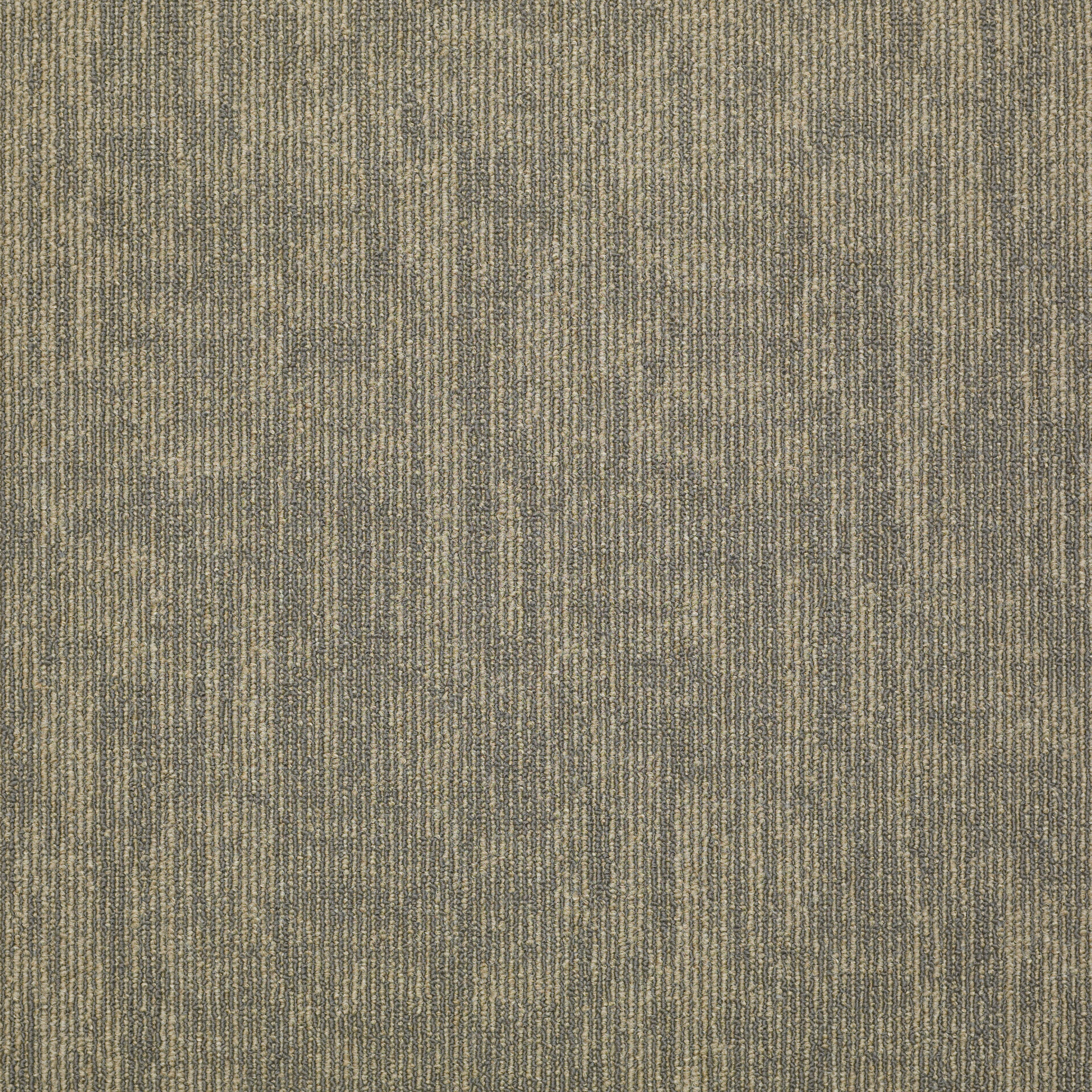 Carbon Copy Tl-Transfer-54806_06503