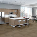 CARBON-COPY-54806-DUPLICATE-06600-room-image