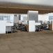 CARBON-COPY-54806-DUPLICATE-06600-room-image