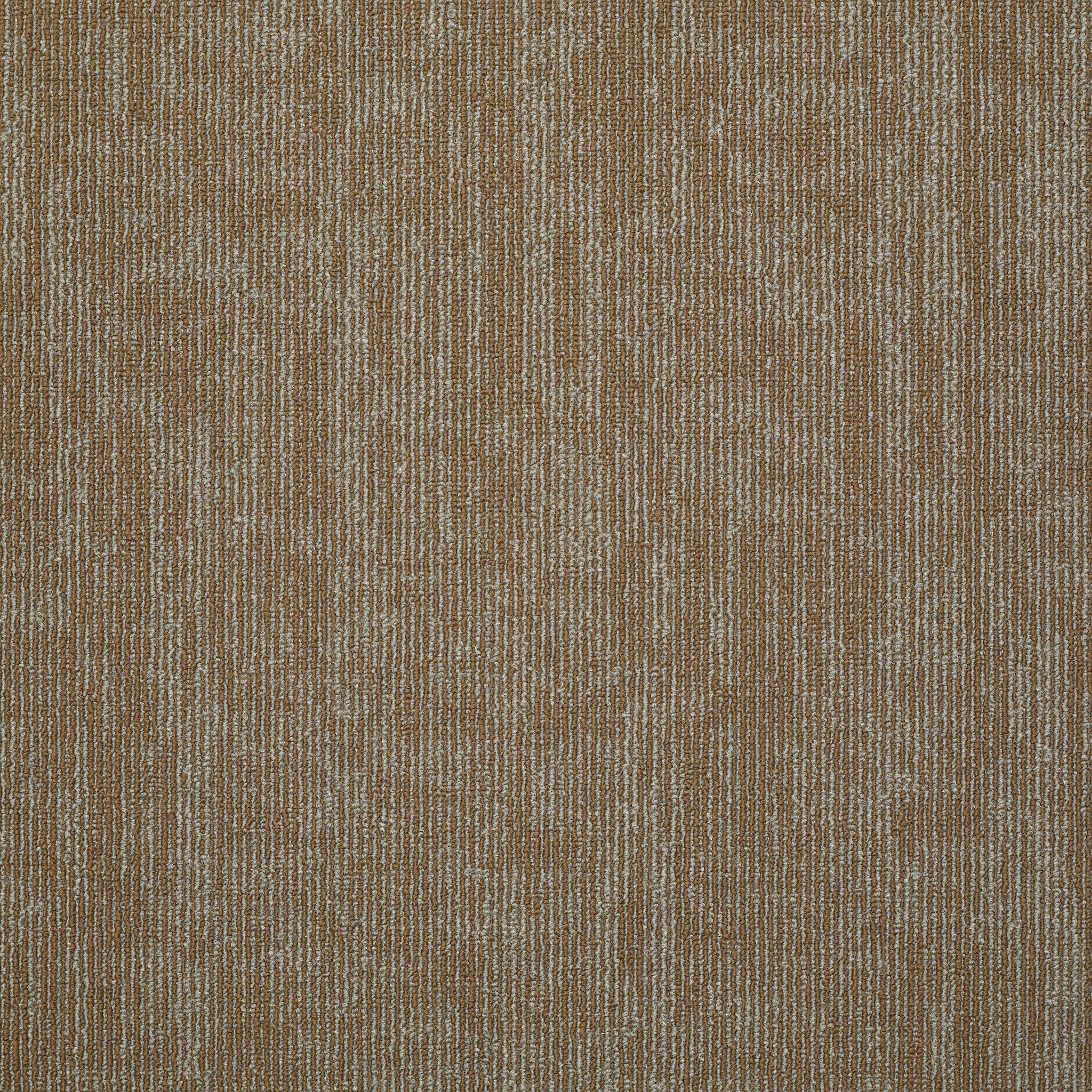 Carbon Copy Tl-Duplicate-54806_06600