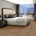 CARBON-COPY-54806-ALTER-EGO-06610-room-image