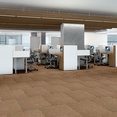 CARBON-COPY-54806-ALTER-EGO-06610-room-image
