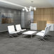 CARBON-COPY-54806-DITTO-06700-room-image