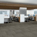CARBON-COPY-54806-CLONE-06710-room-image