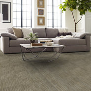 SHIFTING-GEARS-54811-INCLINE-00200-room-image