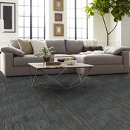 SHIFTING-GEARS-54811-AXEL-00510-room-image