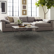 SHIFTING-GEARS-54811-WIRE-00710-room-image