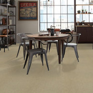 COUNTERPART-54816-COPY-CAT-16200-room-image