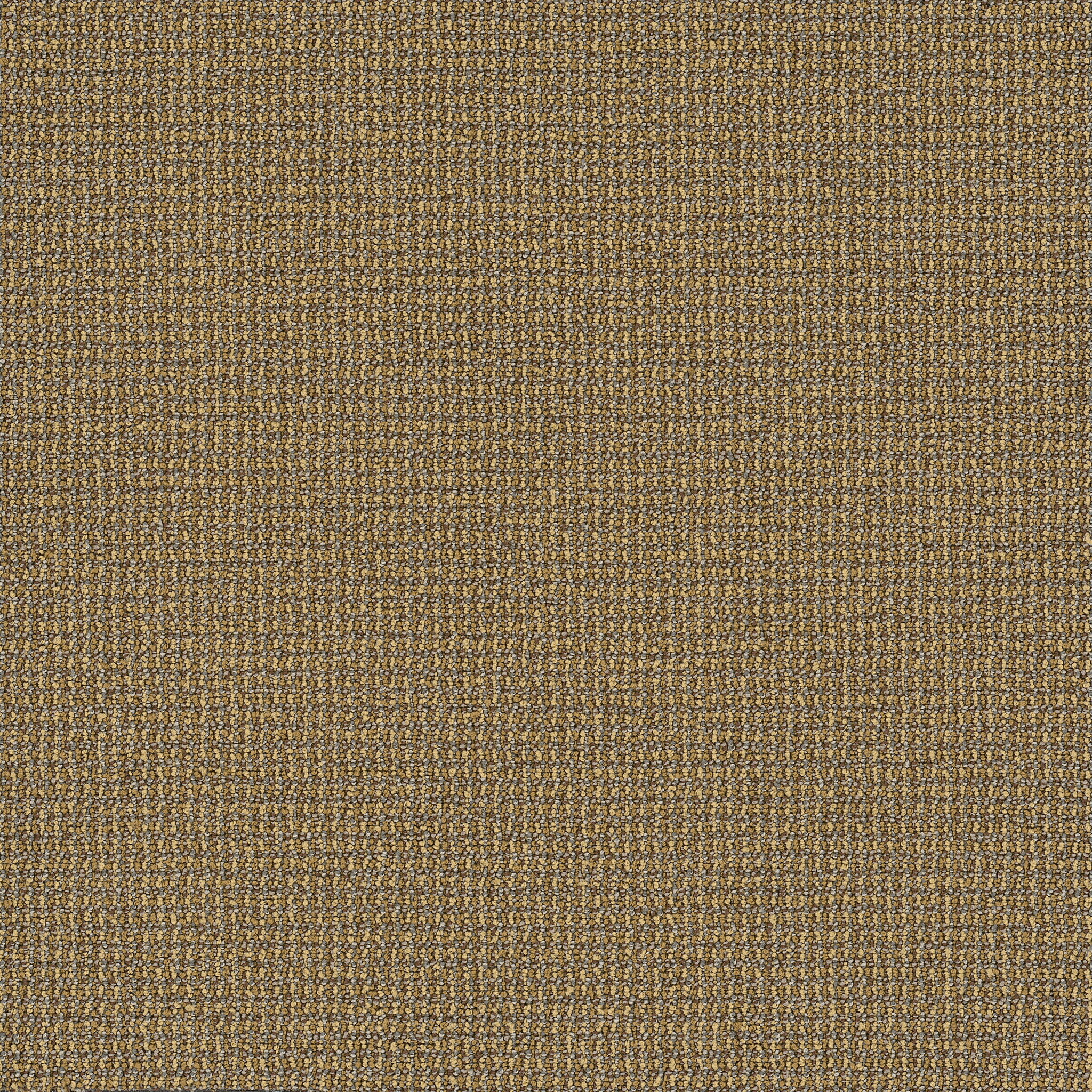 Dateline Today-Episode-54823_00240