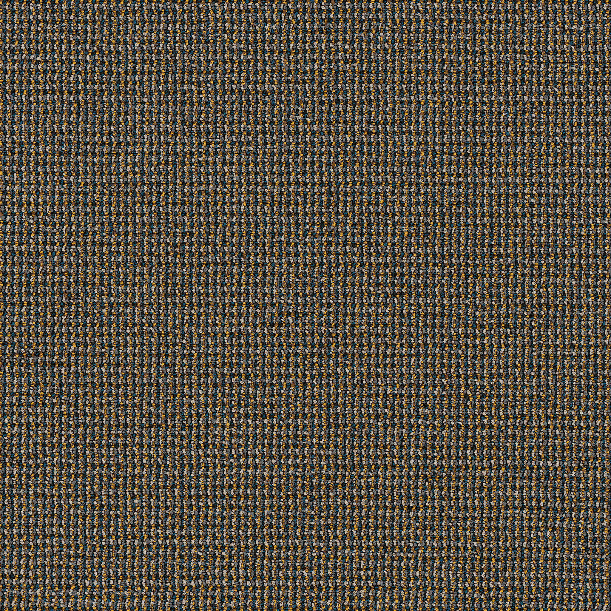 Dateline Today-Viewer-54823_00430