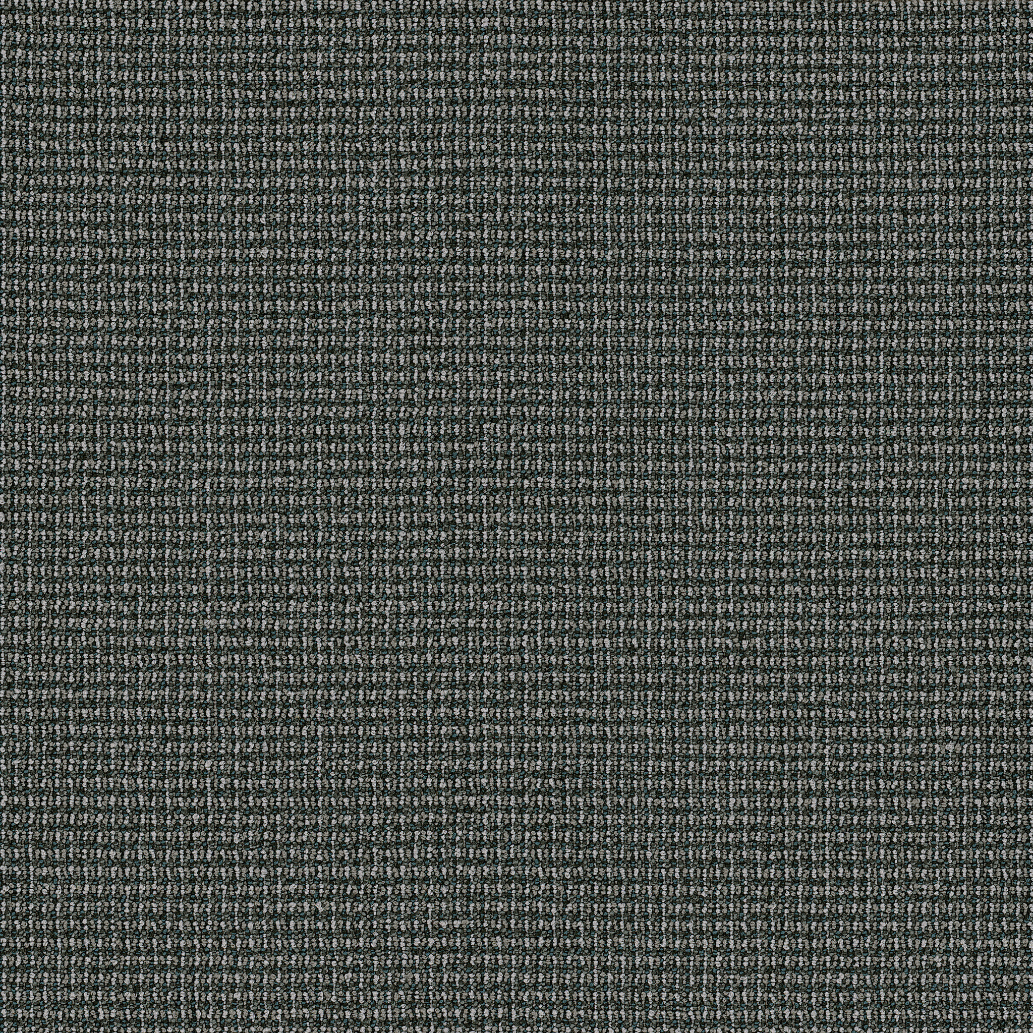 Dateline Today-Network-54823_00505