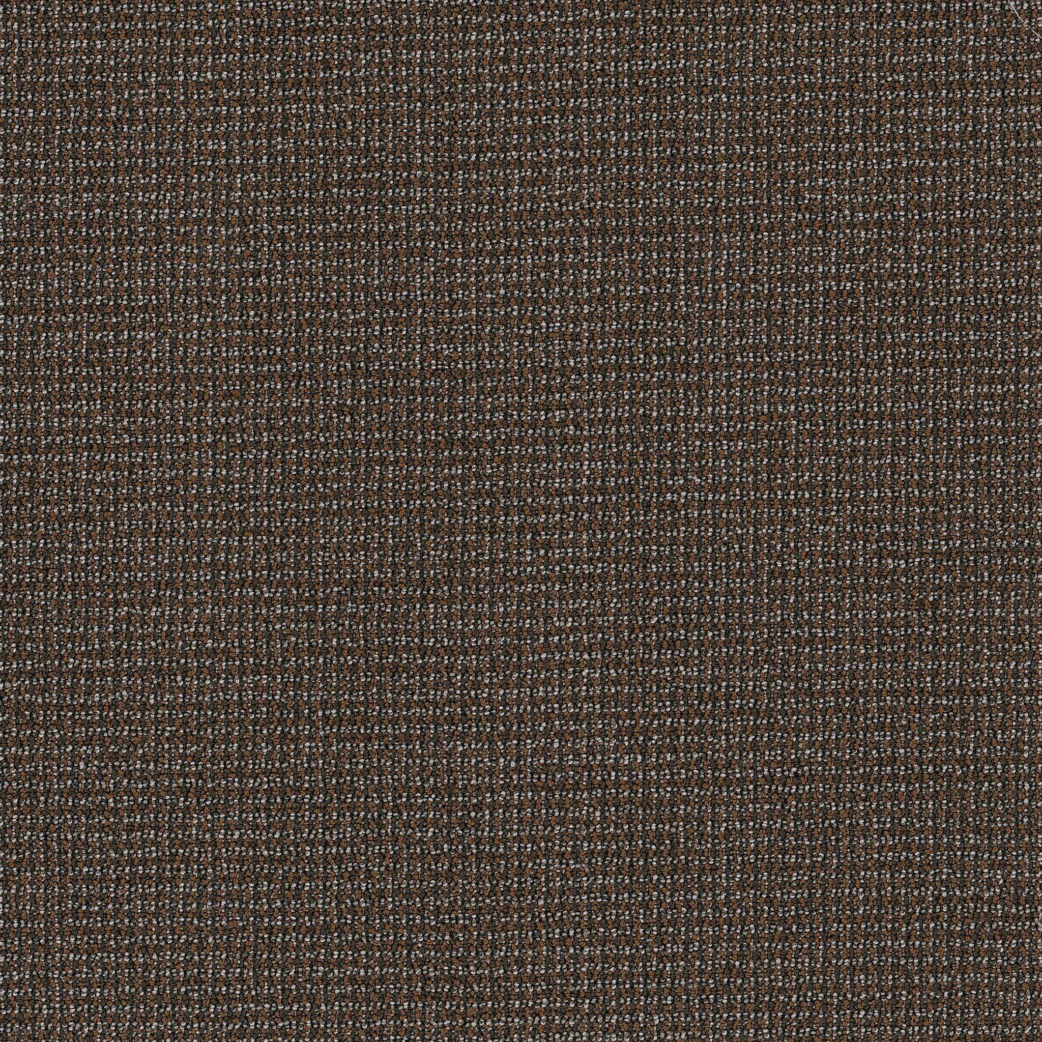 Dateline Today-First Look-54823_00720