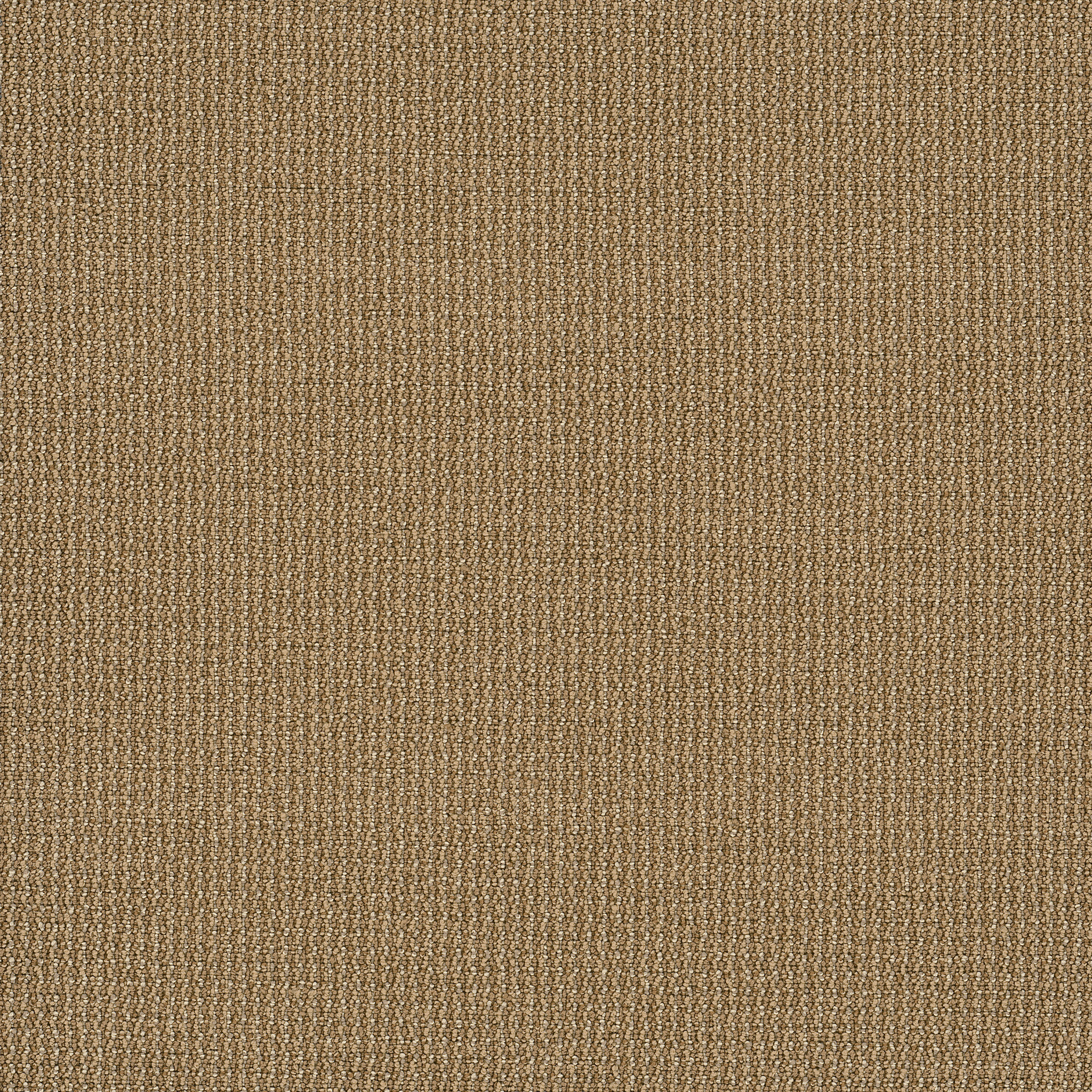 Dateline Today-Spotlights-54823_00730