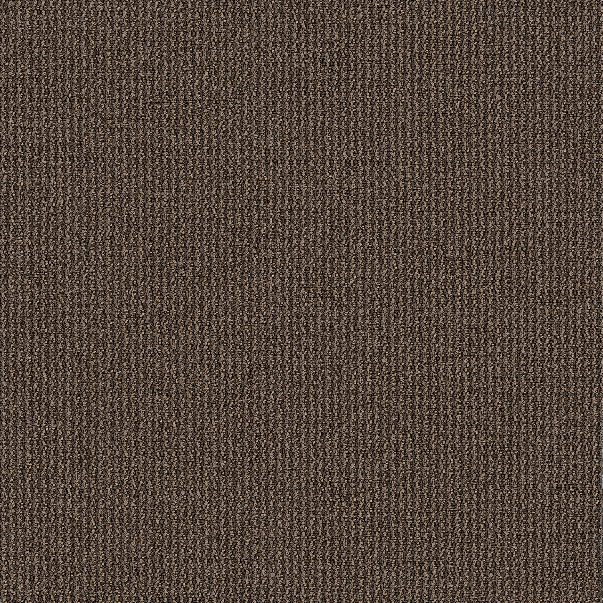 Dateline Today-Anchors-54823_00760