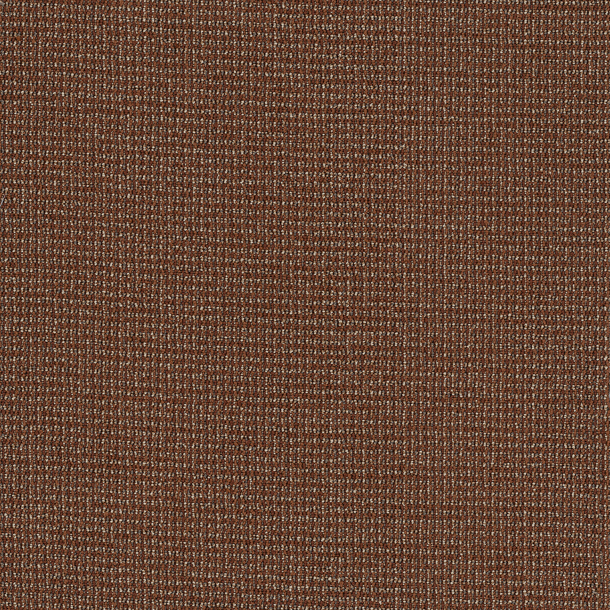 Dateline Today - In-Depth - 54823_00840