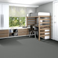 FAIR-SHAKE-54831-TRUSTWORTHY-31406-room-image