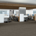 LAYERS-54833-PIETERSITE-33501-room-image