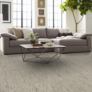 LAYERS-54833-DALMATIAN-JASPE-33505-room-image
