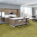 RIDGES-54834-MIMETITE-34200-room-image