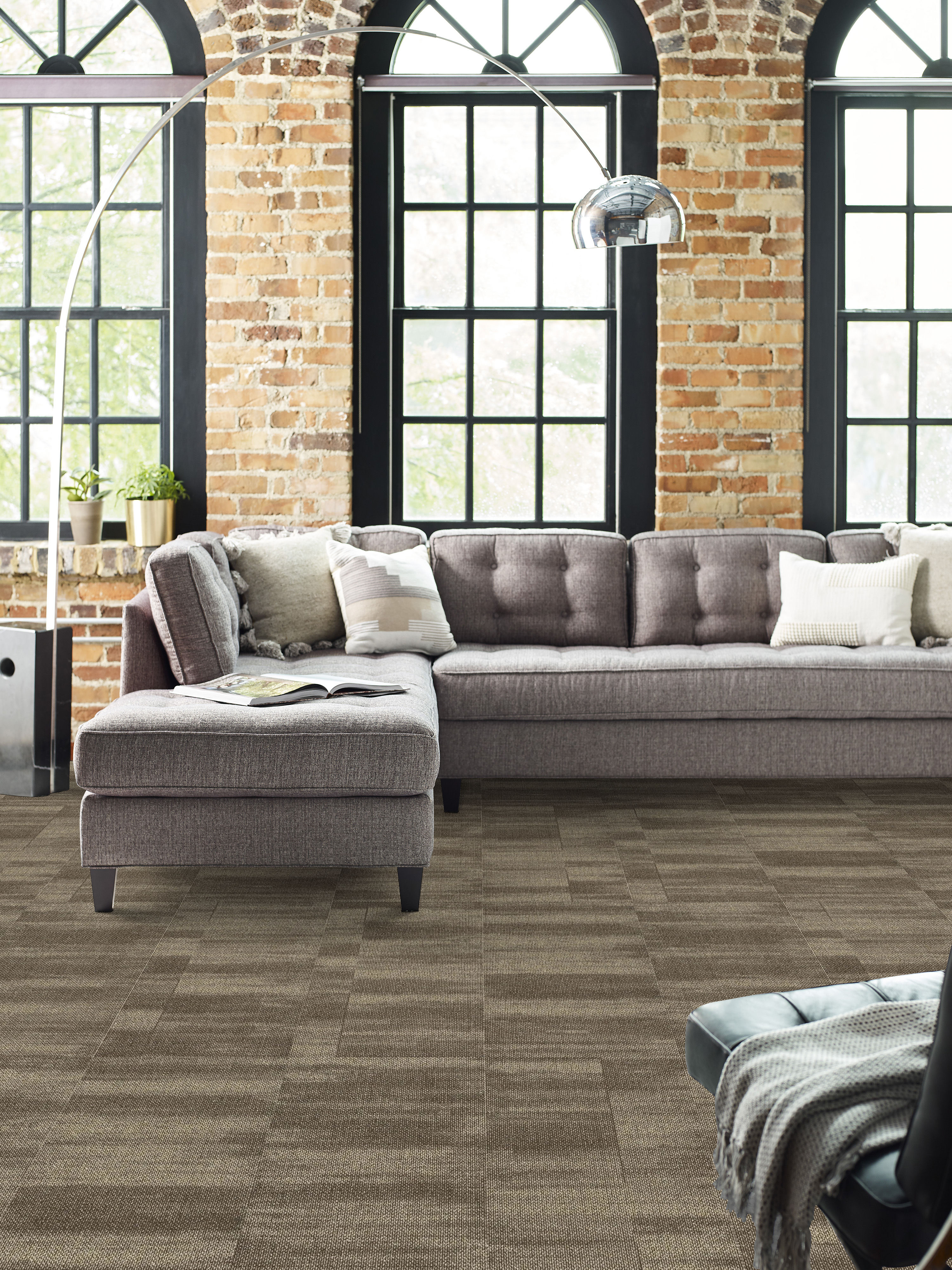 Ridges - Aragonite - 54834_34205