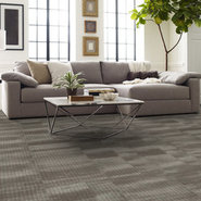 RIDGES-54834-BRONZITE-34500-room-image