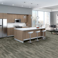 RIDGES-54834-MAGNETITE-34505-room-image