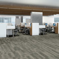 RIDGES-54834-MAGNETITE-34505-room-image