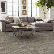 RIDGES-54834-PETRIFIED-WOOD-34710-room-image