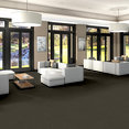 IDLE-TIME-54836-MINK-00753-room-image
