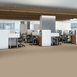 SIDE-TRACK-54837-ALL-NATURAL-00112-room-image