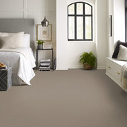A-FRESH-START-54840-COBBLESTONE-00523-room-image