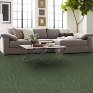 CRAZY-SMART-54841-WITTY-00310-room-image